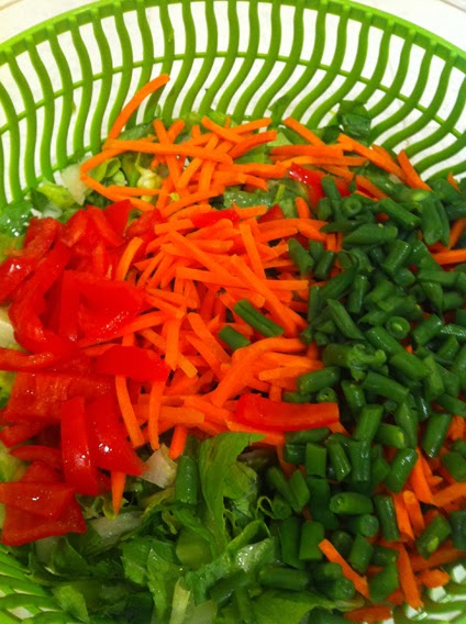 Salad spinner and Fresh Salad Ingredients