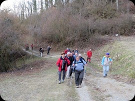 IMG_0622