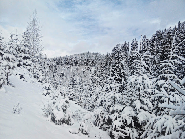 Winter Holidays in Bukovel