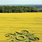 gambar crop circle, foto crop circle, alien, ufo, lingkaran tanaman, www.digaleri.com