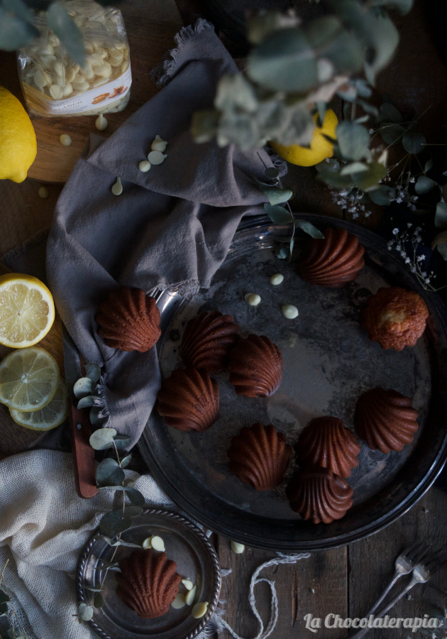 madeleines-de-limon-y-miel-con-chispas-de-chocolate-blanco