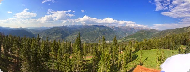 IMG_0041_2