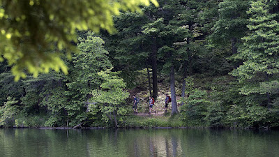 Thermacell Backpacker Mosquito Repeller Creates An Invisible Protection From Insect, Especially From Bloodsucking Critters