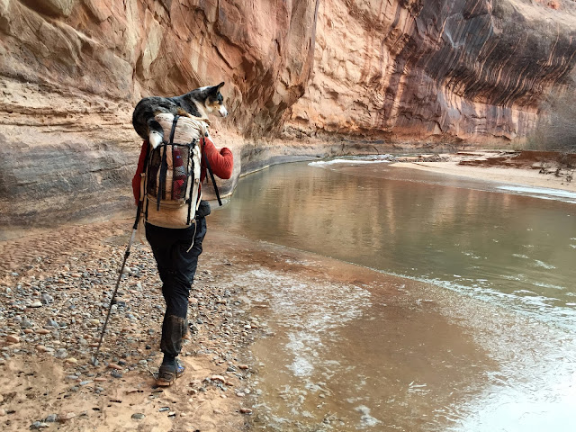 Carrying dog across river with Hyperlite Mountain Gear Porter backpack