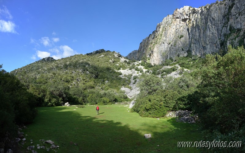 El Cintillo - Sierra Baja de Ubrique - Paso del Bombo - Ubrique - Cañada de los Pernales