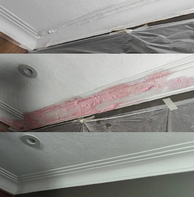 ornamental plaster repair, plaster cornice repair in Williamsville, NY