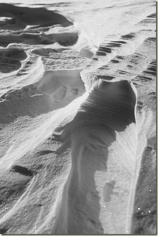 SnowTexture_BW