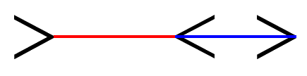 muller-lyer optical illusion