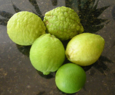 lemons in La Ceiba, Honduras