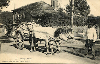 pays basque autrefois attelage agriculture paysan