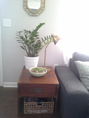 Side end table, plants, gold brass lampcampaign furniture organizing baskets