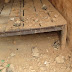Devastating Earthquake in Chitwan hilly area damaged with 6 houses. 