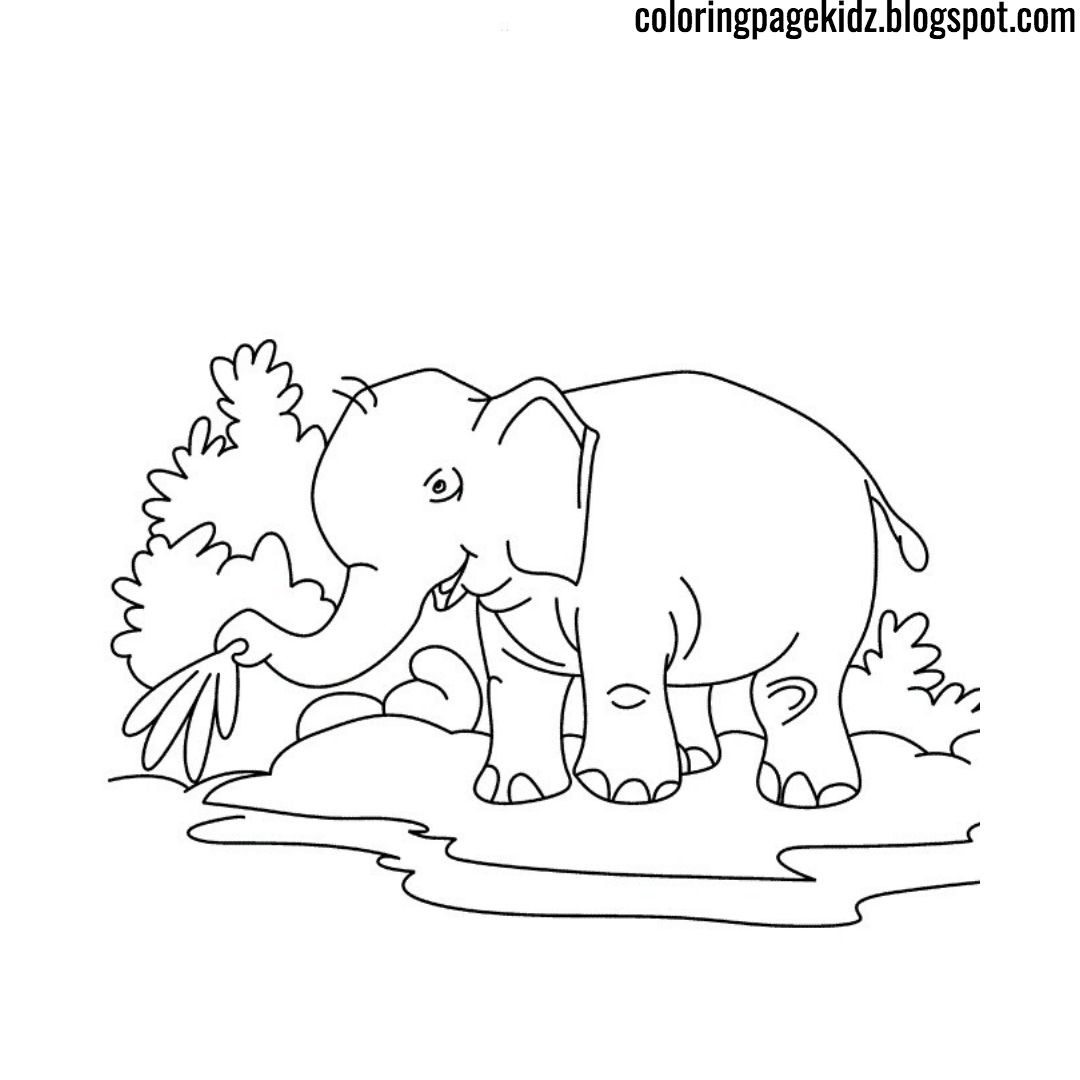 Baby elephant Simple Coloring page print out for kids