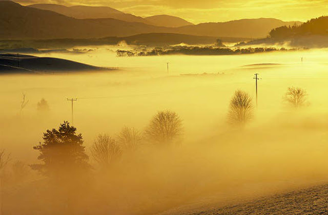 Amazing Shots Of Nature By Ian Cameron