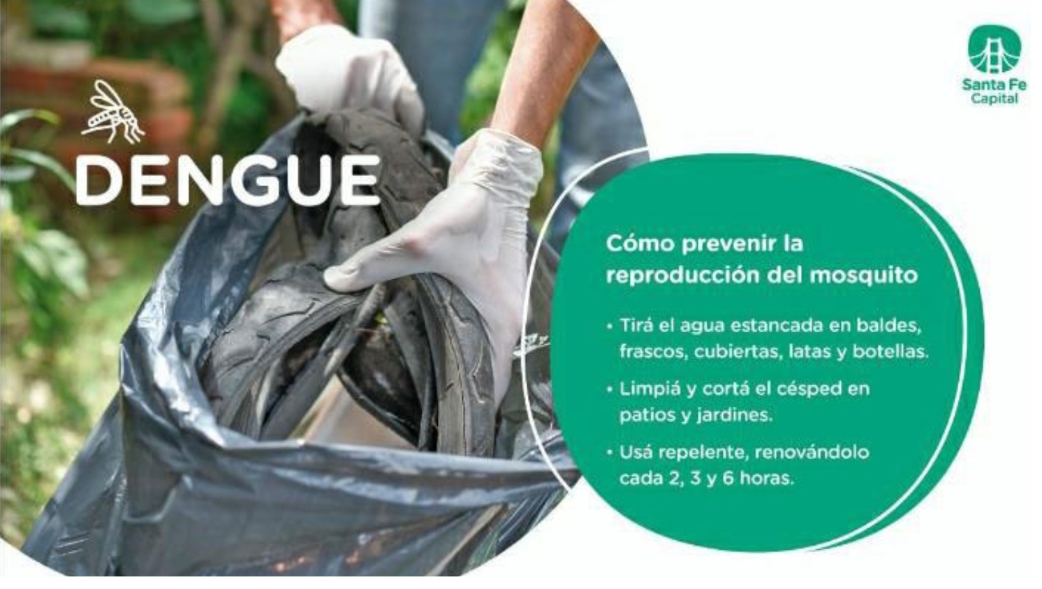Dengue - Novedades