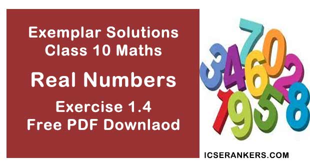 Chapter 1 Real Number NCERT Exemplar Solutions Exercise 1.4 Class 10 Maths