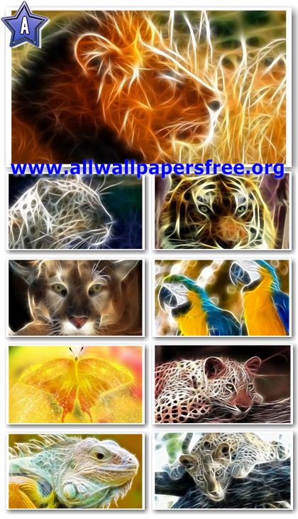 40 Art Animals Wallpapers 1600 X 1050