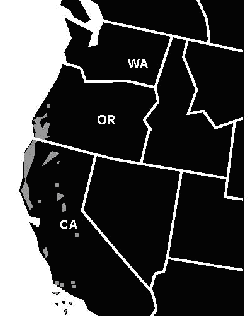 tanoak_range