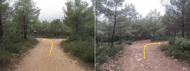 El Castellot-Puig de la Cogulla-Torre de Cal Pascol, camí en direcció al Puig de la Cogulla