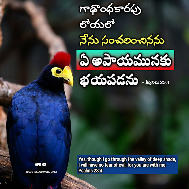 Motivational Bible quotes in Telugu and English  Jesus powerful Words in Telugu and English  Bible verses in Telugu and English  Bible verses Images in Telugu and English  Telugu Bible Quotes for whatsapp  Short Bible verses in Telugu  Daily bible quotes in telugu  Telugu Bible verses  Jesus powerful Words in Telugu and English  Bible Quotes in Telugu free download  jesus-telugu images download  Telugu Bible verses hd images  Daily bible quotes in telugu