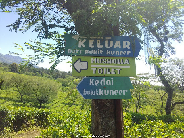 wisata bukit kuneer lawang malang