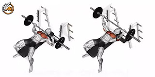 The 15 Best Barbell Strength Training Exercises for Men