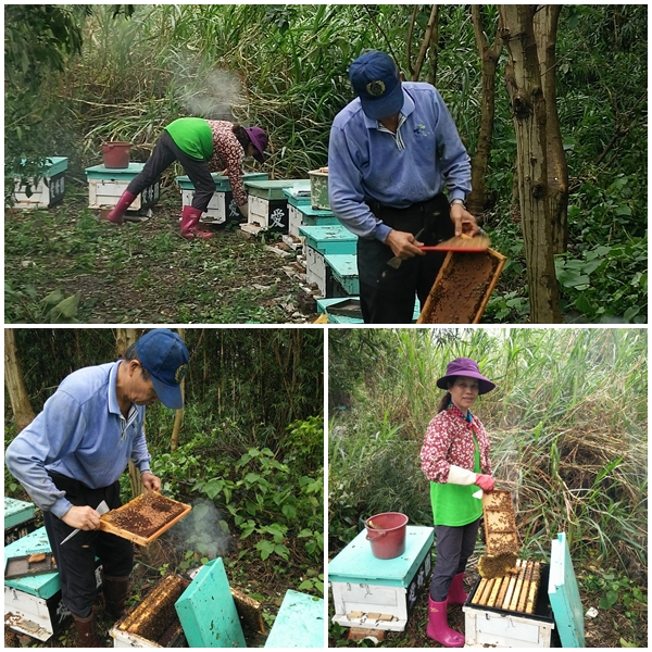 愛蜂園,台灣養蜂場,健康伴手禮,天然蜂蜜,蜂花粉,蜂蜜醋,蜂蜜蛋糕,蜂王乳,蜂王漿,台灣養蜂協會會員,客製化禮盒,台灣蜂蜜,純蜂蜜,蜂蜜檸檬,產品經SGS檢驗合格,