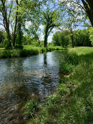 photo of the Kinnickinnic River, a relatively clean trout stream