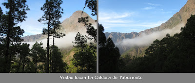 LA CUMBRECITA - LOMO DE LAS CHOZAS (PARQUE NACIONAL DE LA CALDERA DE TABURIENTE - ISLA DE LA PALMA - ISLAS CANARIAS)