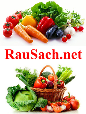 RauSach.net