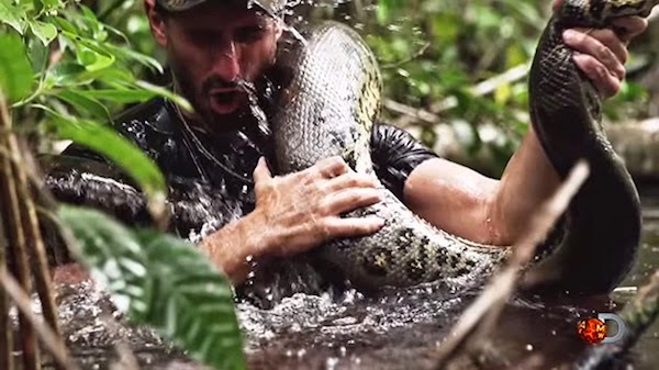 VIDEO – Tipo se dejará tragar por una anaconda