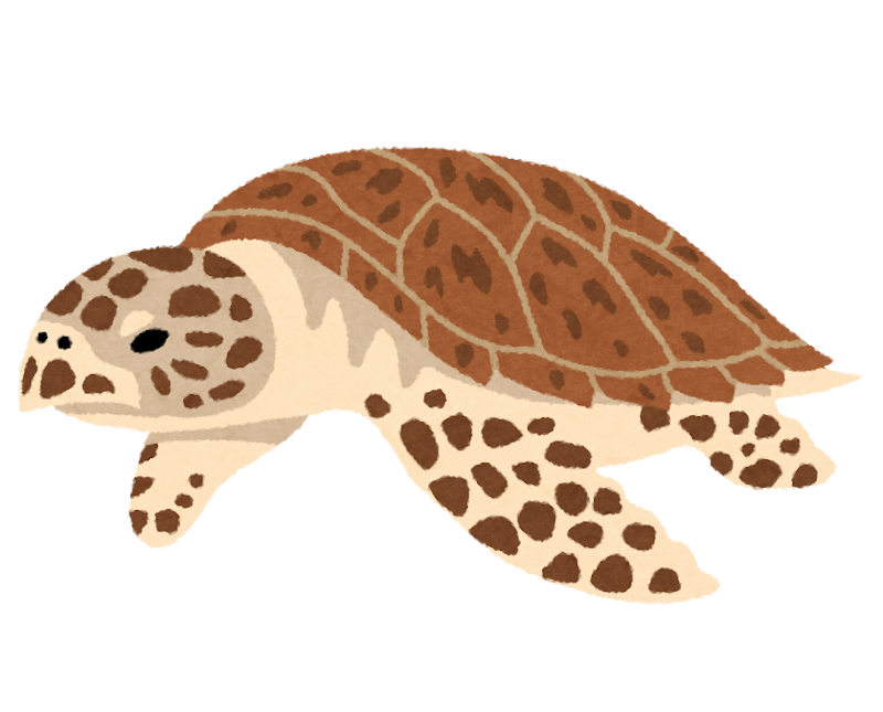 タイマイのイラスト 亀 かわいいフリー素材集 いらすとや タイマイのイラスト 亀 かわいいフリー素材集 いらすとや