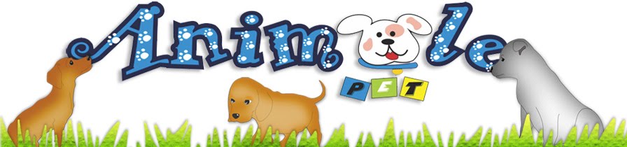 Animale Pet