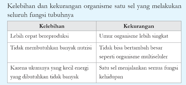 Kelebihan dan kekurangan organisme satu sel yang melakukan seluruh fungsi tubuhnya