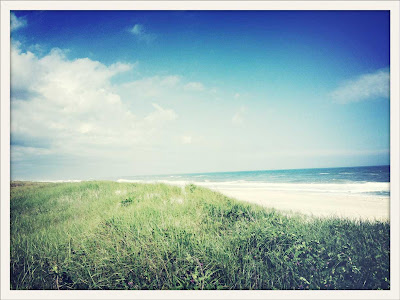 hamptons beach scene