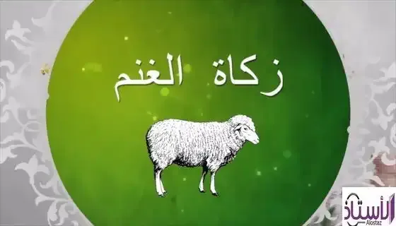 What-is-the-nisab-for-zakat-on-sheep