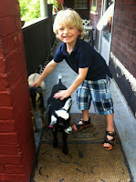 Blonde haired child pets goats