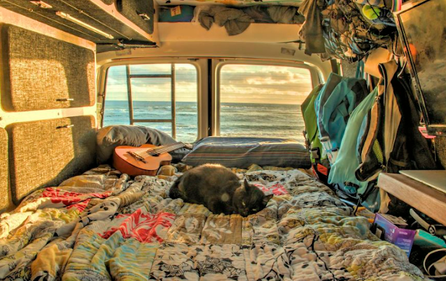  Guy equal Job and Sells Everything He Owns simply to Travel along with his Cat   