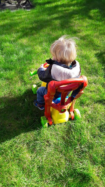 outdoor, trike, play