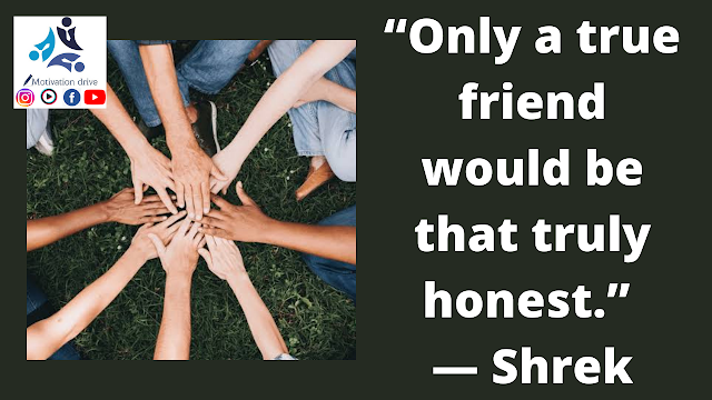 “Only a true friend would be that truly honest.” — Shrek