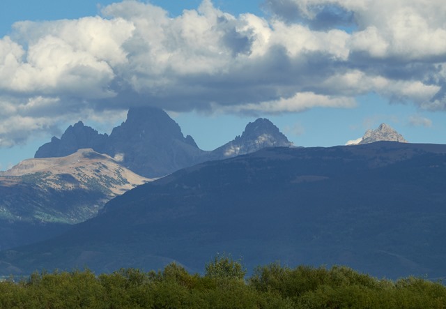 tetonia 1