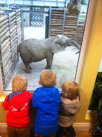 Eva on the right watching the elephant