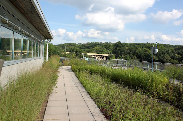 Phipps Conservatory Green Roof