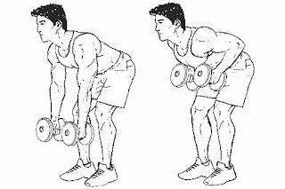 1. Dumbbell Row