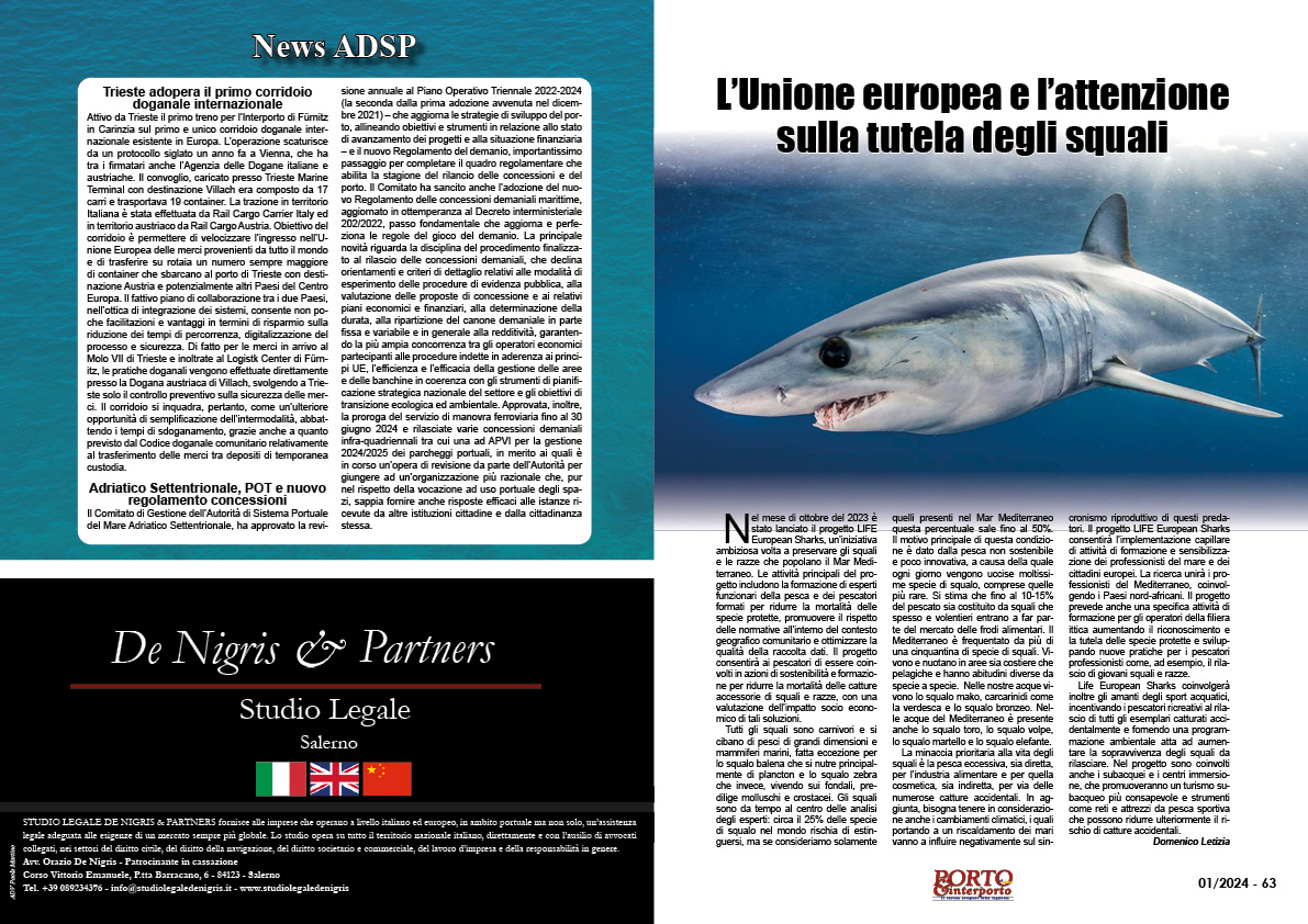 L’Unione europea e l’attenzione sulla tutela degli squali