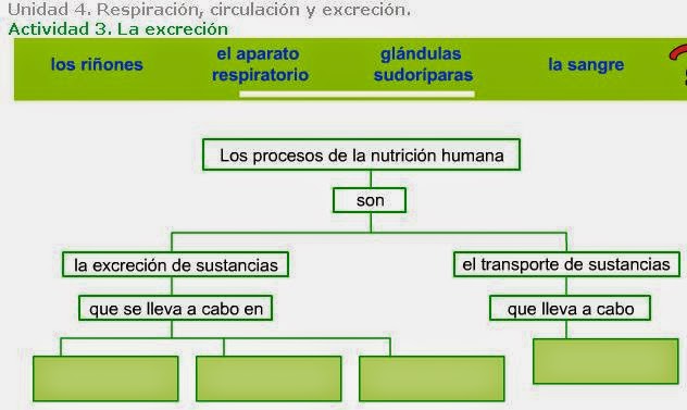 http://www.ceiploreto.es/sugerencias/A_1/Recursosdidacticos/QUINTO/datos/02_Cmedio/datos/05rdi/ud04/03.htm