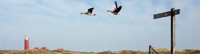 Karte Texel Holland