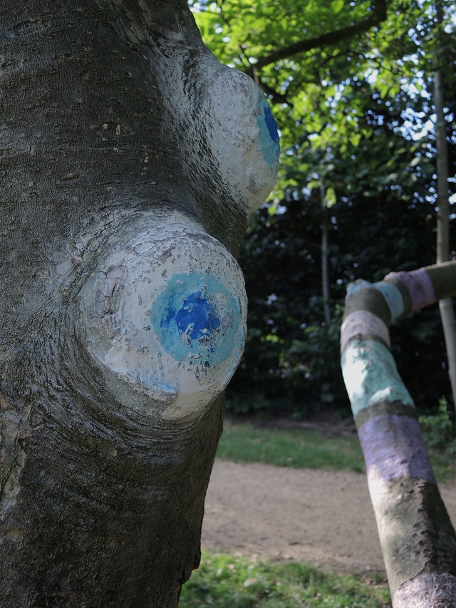 Antwerpen:  babbelende bomen in Boekenbergpark