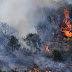 Λάγκα: Φωτιά στο Κρυονέρι - Βίντεο