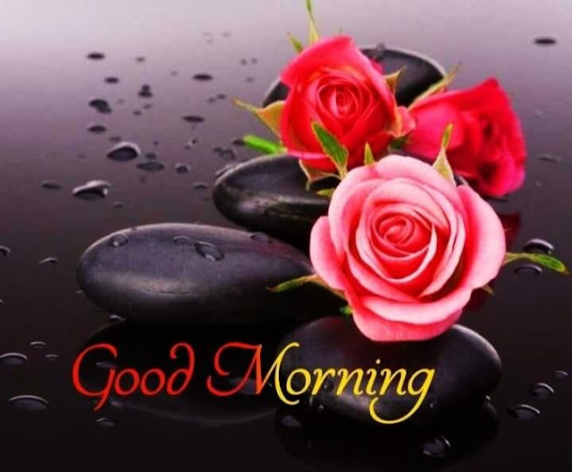 Good Morning Photos Download